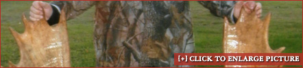 example4