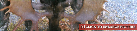 example4