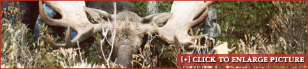 example4