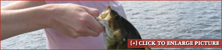 example4
