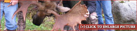 example4