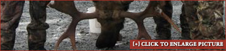 example4