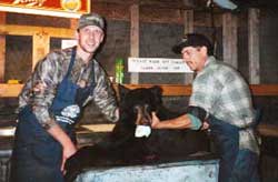 bear hunting
