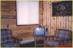 cabin living room