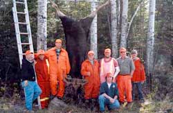 moose hunting