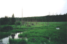 fishing, ontario, canada