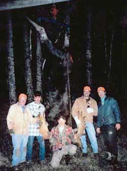 bear hunting