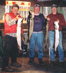 ontario northern pike fishing
